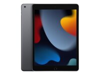 Apple iPad 10.2 Wi-Fi 256 GB Grau - 10,2" Tablet - A13 25,9cm-Display