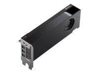 NVIDIA RTX A2000 - Grafikkarten - RTX A2000 - 6 GB GDDR6