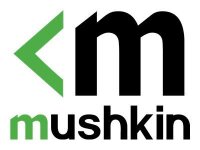 Mushkin Element - 2 TB - M.2 - 2000 MB/s